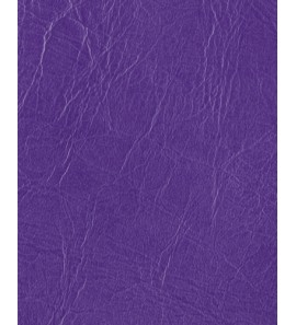 21-100 紫色101
