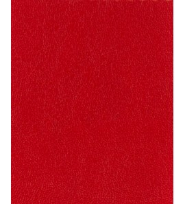 21-106 3989