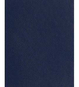 21-161 新兰Y006