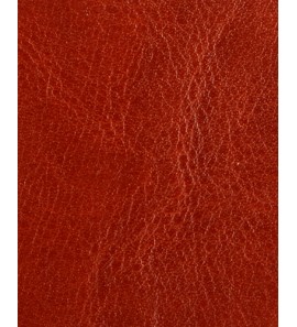 21-256 PU64-2