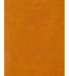 21-325 PU29029