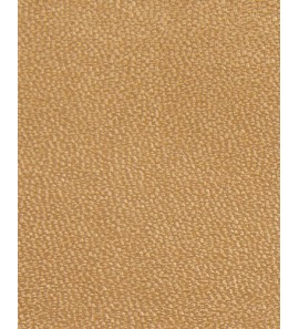 21-402 PU61-1