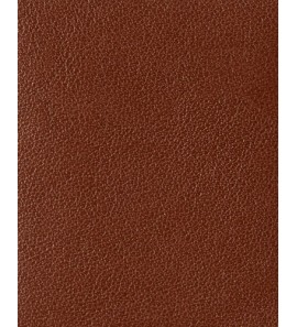 21-410 PU61-9