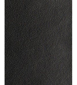 21-411 PU61-10