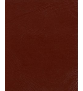 21-450 棕PU2012