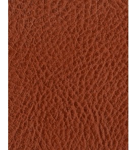 21-495 PU60206