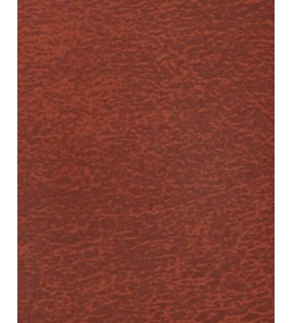 21-50 布6966