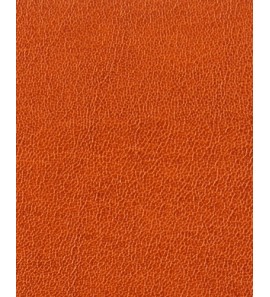 21-531 PU1807
