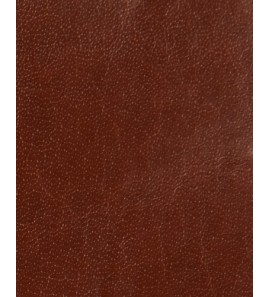EL145-09 5802变色
