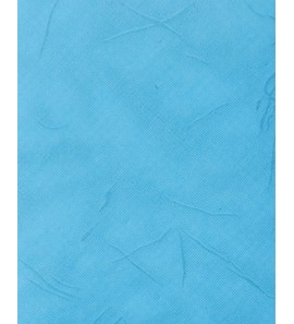 EL27-05浅兰
